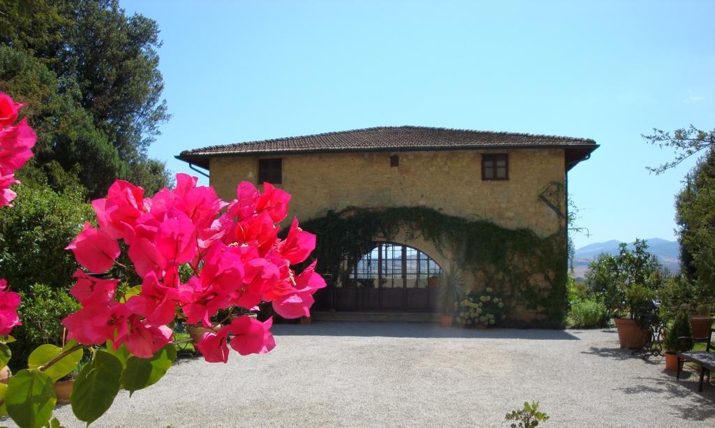 Villa Pieve De' Pitti Terricciola Exterior foto