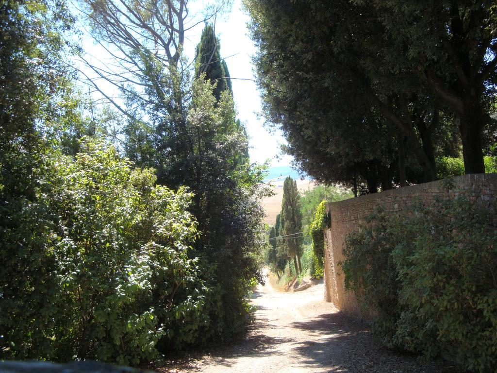 Villa Pieve De' Pitti Terricciola Exterior foto